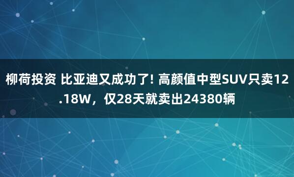 柳荷投资 比亚迪又成功了! 高颜值中型SUV只卖12.18W，仅28天就卖出24380辆