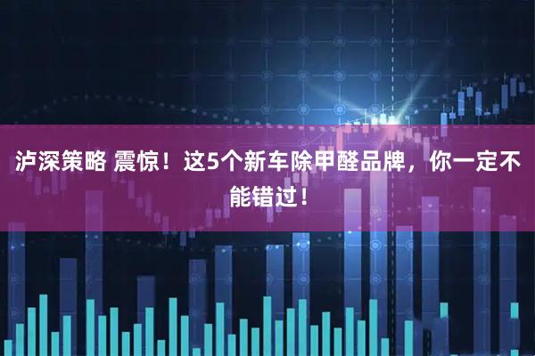 泸深策略 震惊！这5个新车除甲醛品牌，你一定不能错过！