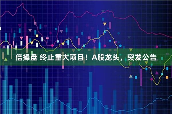 倍操盘 终止重大项目！A股龙头，突发公告